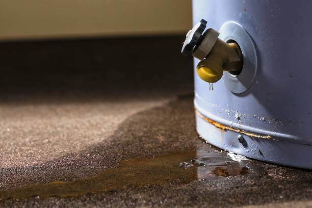Best Carpet water damage restoration  in Aurora, NE