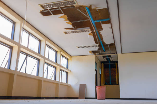 Best Water damage restoration company  in Aurora, NE