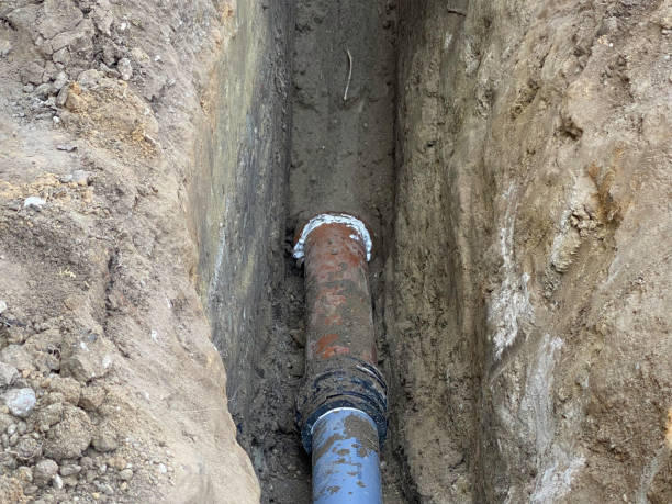 Best Local water damage restoration  in Aurora, NE