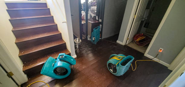 Best Commercial water damage restoration  in Aurora, NE