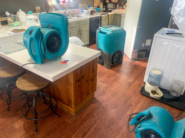 Best Water damage restoration mold remediation  in Aurora, NE