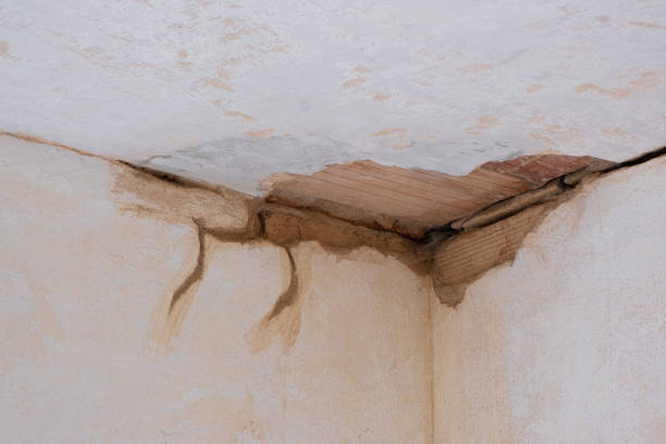 Best Water damage repair service  in Aurora, NE