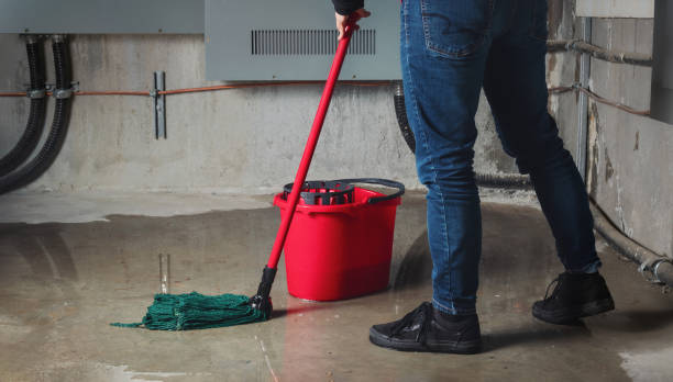 Best Water damage contractors near me  in Aurora, NE