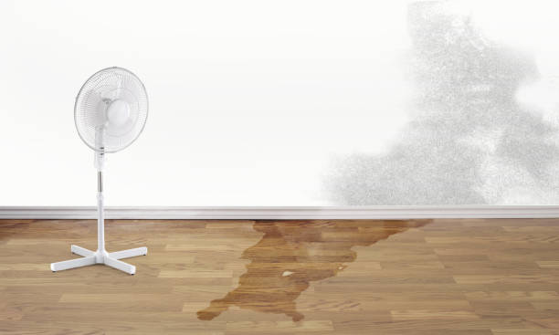 Water damage restoration mold remediation in NE
