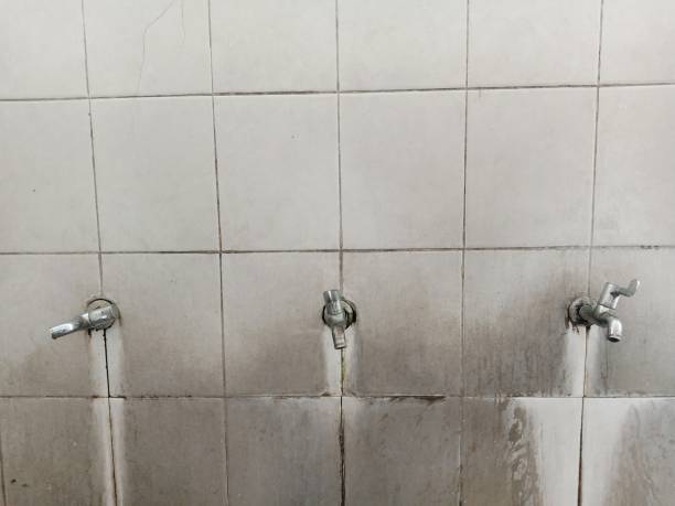 Professional Water damage restoration in NE