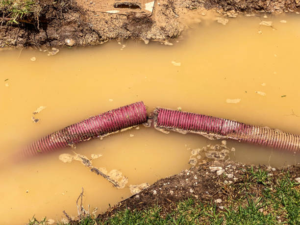 Best Flood restoration services  in Aurora, NE