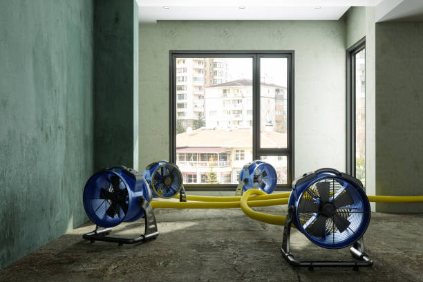 Best Fire Damage Restoration  in Aurora, NE